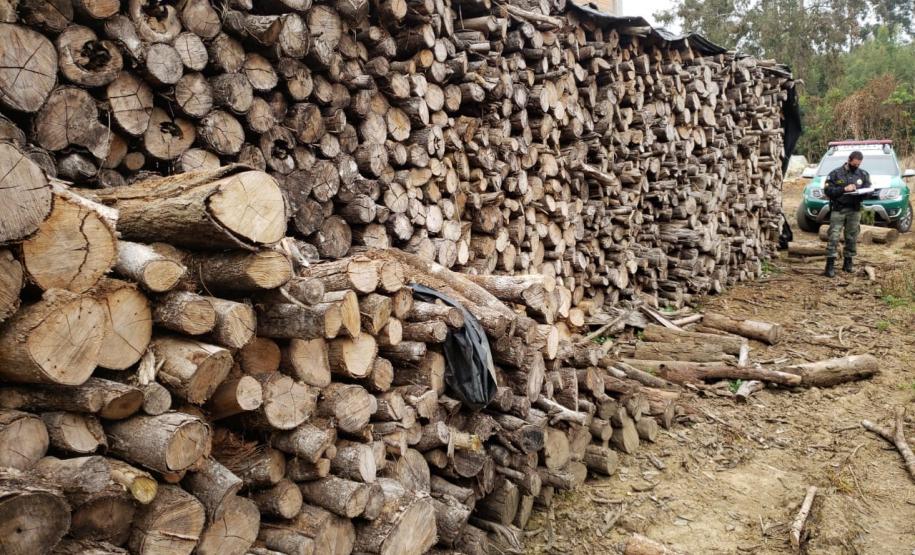 Polícia Ambiental flagra corte de mata nativa e aplica R$ 37,5 mil em multas