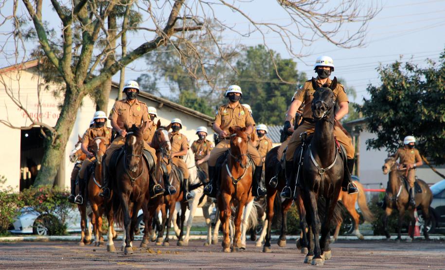 Regimento da PM completa 142 anos de história de heroísmo e atenção à população com o serviço de Equoterapia