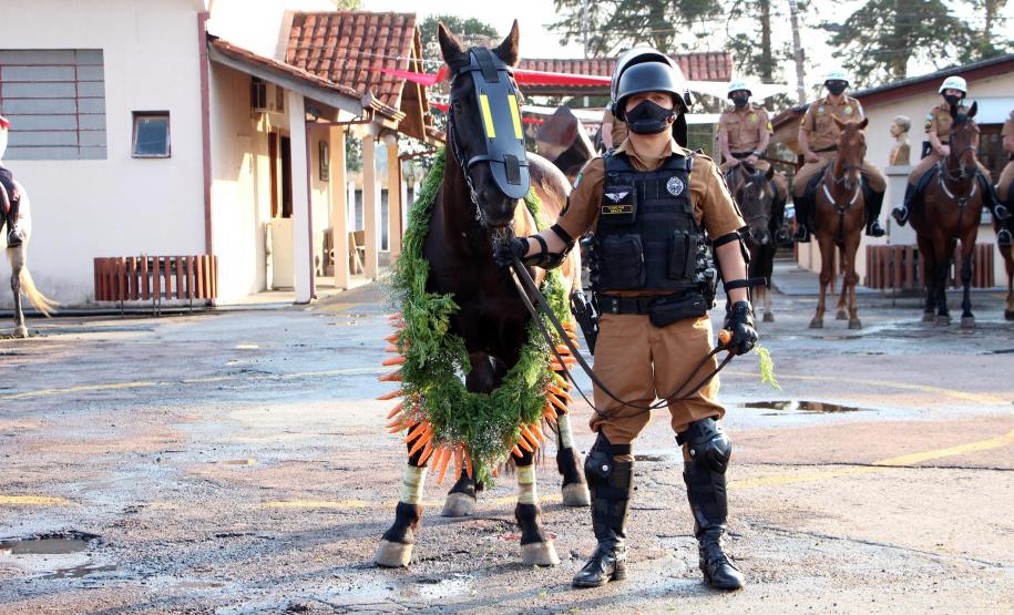 Regimento da PM completa 142 anos de história de heroísmo e atenção à população com o serviço de Equoterapia