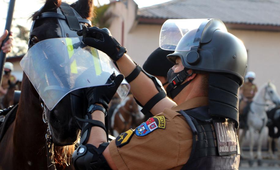 Regimento da PM completa 142 anos de história de heroísmo e atenção à população com o serviço de Equoterapia