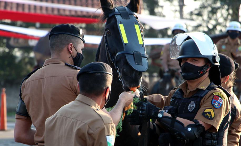 Regimento da PM completa 142 anos de história de heroísmo e atenção à população com o serviço de Equoterapia