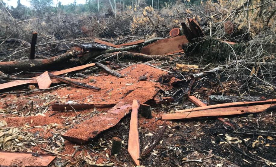 Duas pessoas são autuadas em mais de R$ 120 mil por destruir vegetação nativa em Quedas do Iguaçu, no Sudoeste do Paraná