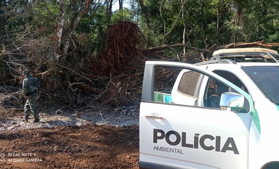 Vídeo de desmatamento chega à Polícia Ambiental e multa donos de máquina e propriedade em R$ 23,4 mil cada um em Roncador (PR)