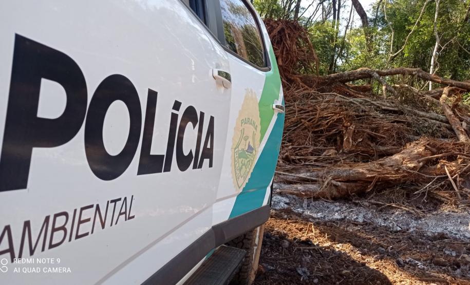 Vídeo de desmatamento chega à Polícia Ambiental e multa donos de máquina e propriedade em R$ 23,4 mil cada um em Roncador (PR)