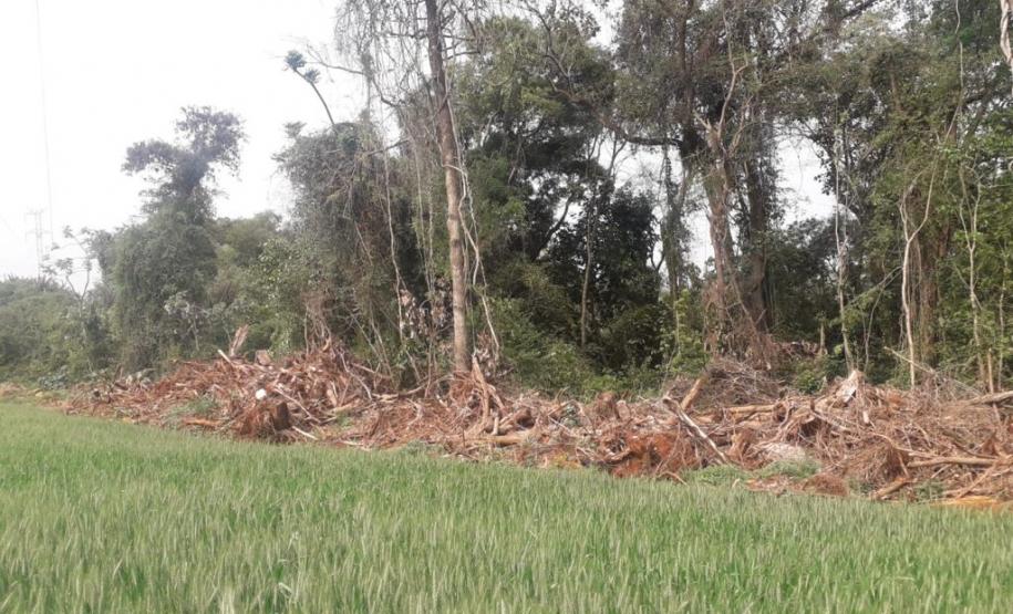 Primeiro dia da Operação Nascente Viva flagra diversos pontos de destruição de mata nativa no Sudoeste do estado