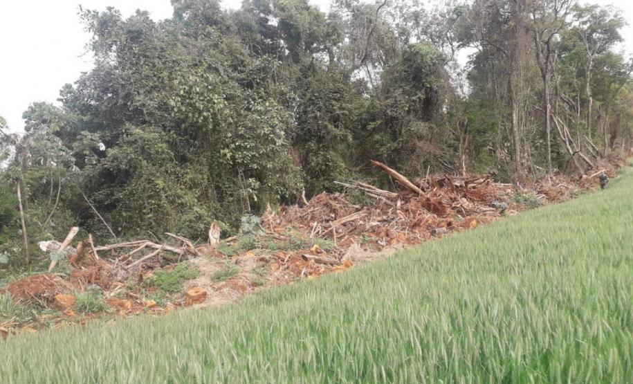Primeiro dia da Operação Nascente Viva flagra diversos pontos de destruição de mata nativa no Sudoeste do estado