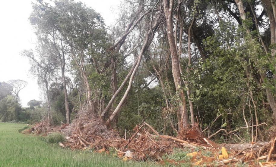 Primeiro dia da Operação Nascente Viva flagra diversos pontos de destruição de mata nativa no Sudoeste do estado