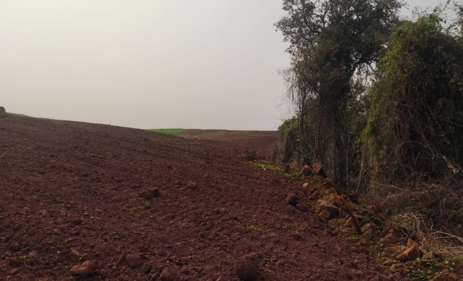 Primeiro dia da Operação Nascente Viva flagra diversos pontos de destruição de mata nativa no Sudoeste do estado