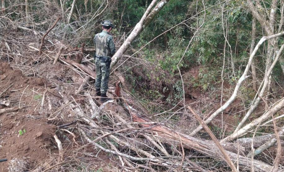 Primeiro dia da Operação Nascente Viva flagra diversos pontos de destruição de mata nativa no Sudoeste do estado