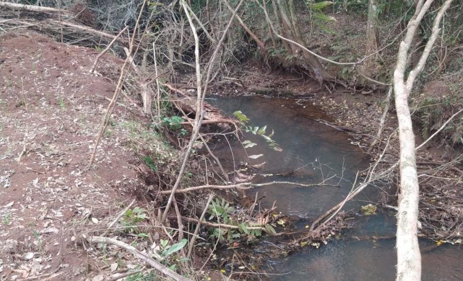 Primeiro dia da Operação Nascente Viva flagra diversos pontos de destruição de mata nativa no Sudoeste do estado