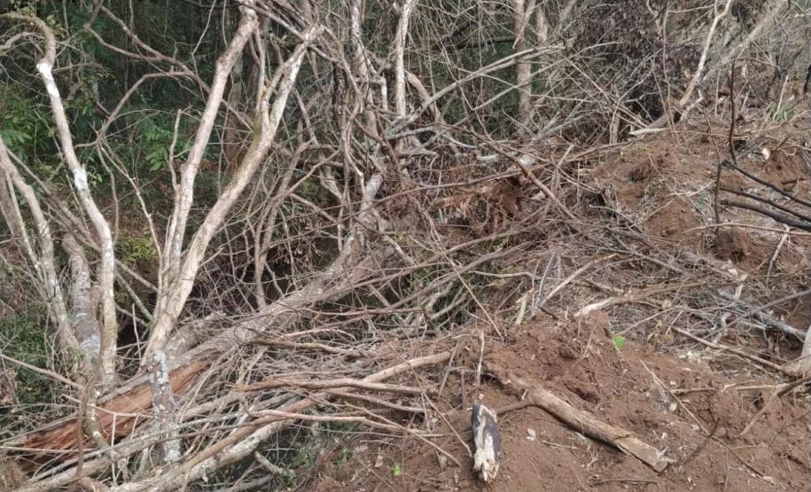 Primeiro dia da Operação Nascente Viva flagra diversos pontos de destruição de mata nativa no Sudoeste do estado