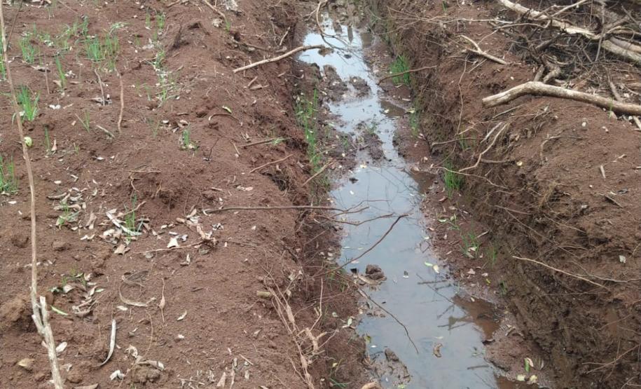 Primeiro dia da Operação Nascente Viva flagra diversos pontos de destruição de mata nativa no Sudoeste do estado