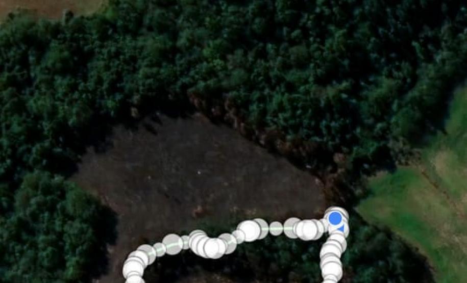 Primeiro dia da Operação Nascente Viva flagra diversos pontos de destruição de mata nativa no Sudoeste do estado