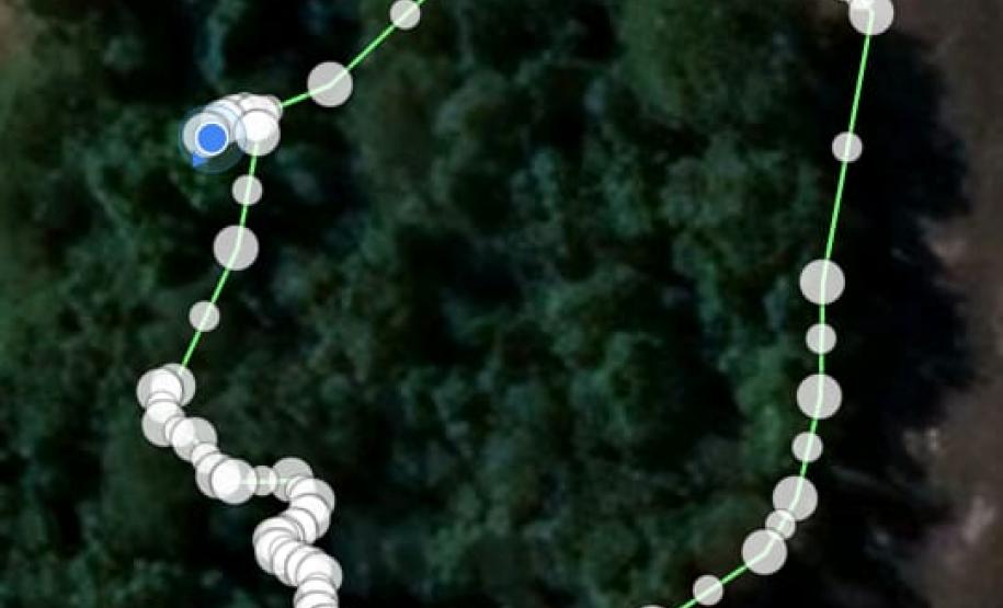 Primeiro dia da Operação Nascente Viva flagra diversos pontos de destruição de mata nativa no Sudoeste do estado