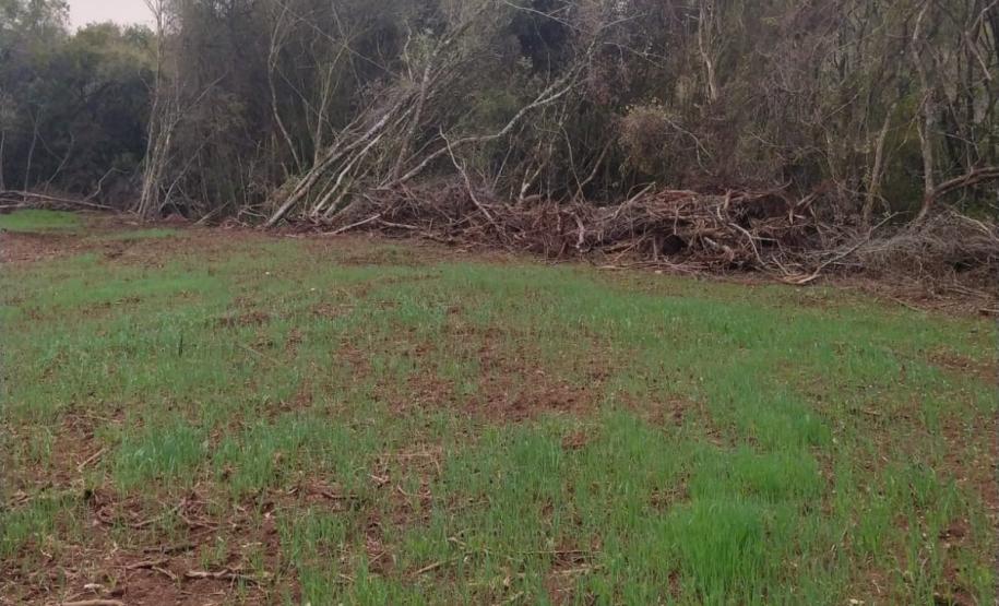 Primeiro dia da Operação Nascente Viva flagra diversos pontos de destruição de mata nativa no Sudoeste do estado