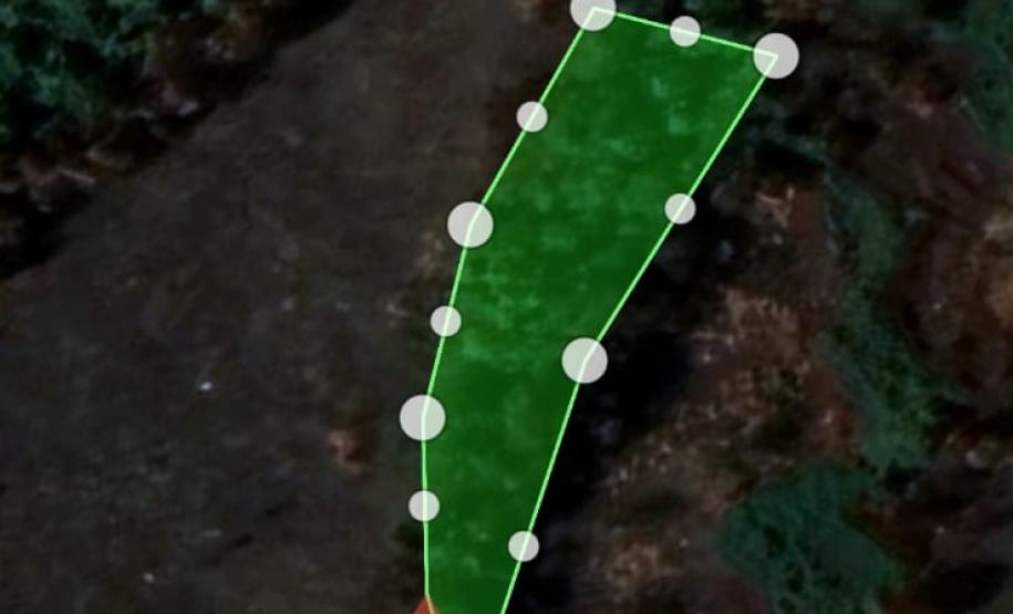 Primeiro dia da Operação Nascente Viva flagra diversos pontos de destruição de mata nativa no Sudoeste do estado