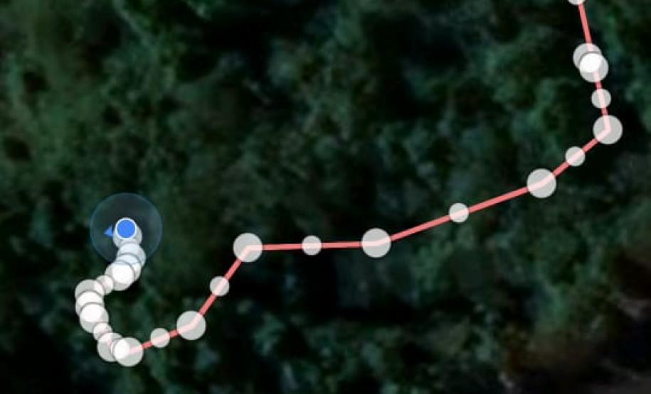 Primeiro dia da Operação Nascente Viva flagra diversos pontos de destruição de mata nativa no Sudoeste do estado
