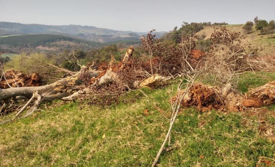 Primeiro dia da Operação Nascente Viva flagra diversos pontos de destruição de mata nativa no Sudoeste do estado