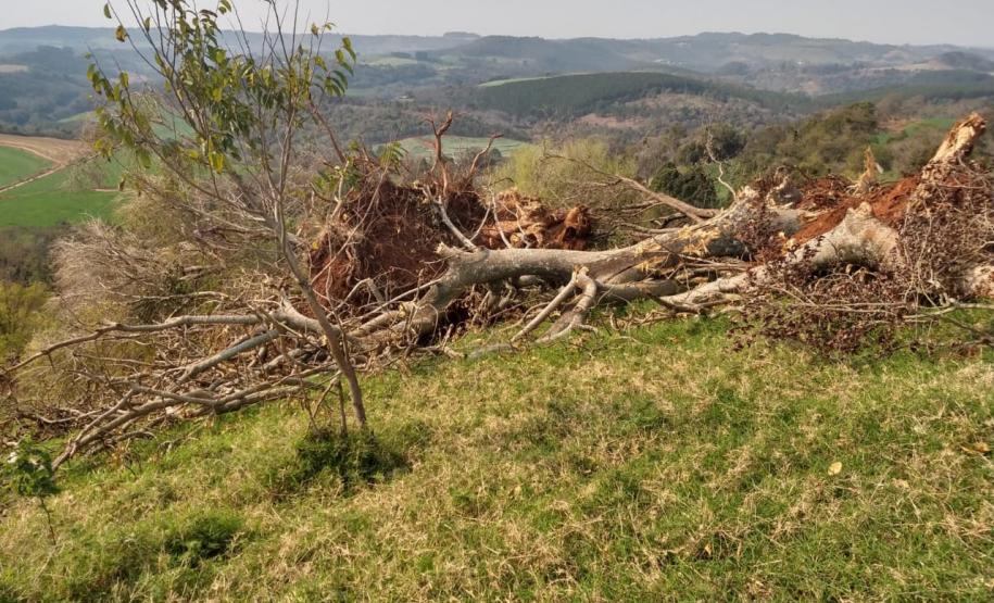 Primeiro dia da Operação Nascente Viva flagra diversos pontos de destruição de mata nativa no Sudoeste do estado