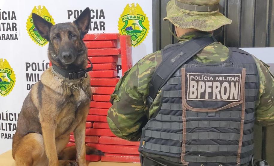 Durante Operação Hórus, Polícia da Fronteira apreende 26,8 quilos de maconha em ônibus de viagem, na cidade de Cascavel (PR)