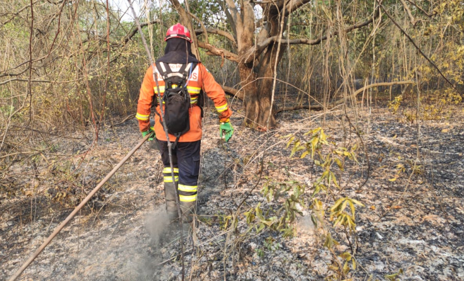 Nos primeiros seis meses, Bombeiros define planejamento para os próximos 15 anos e moderniza procedimentos em favor da população