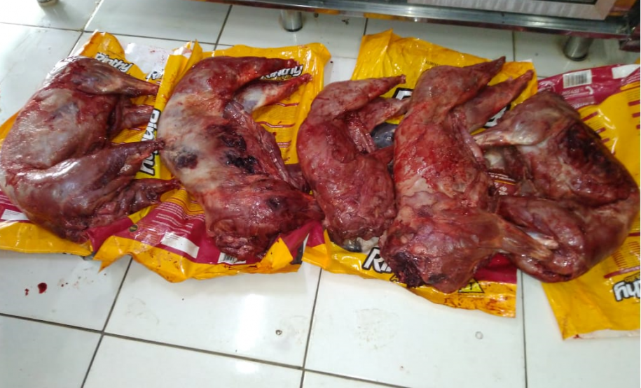 Polícia Ambiental encaminha duas pessoas por caça ilegal em São Jorge do Ivaí (PR); Quatro armas de fogo foram apreendidas