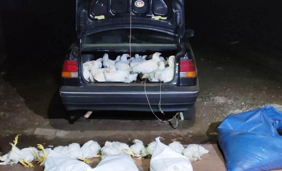 Durante ações distintas, Polícia Militar encaminha cinco pessoas, apreende arma de fogo e recupera frangos e ração furtados, no Sudoeste paranaense