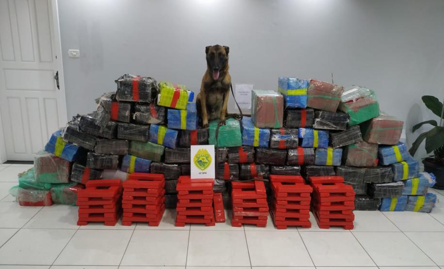 Mais de 1,5 tonelada de maconha é apreendida pela PM em Candói (PR)