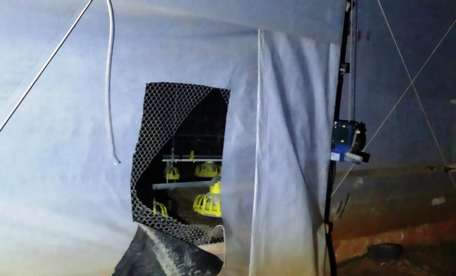 Durante ações distintas, Polícia Militar encaminha cinco pessoas, apreende arma de fogo e recupera frangos e ração furtados, no Sudoeste paranaense