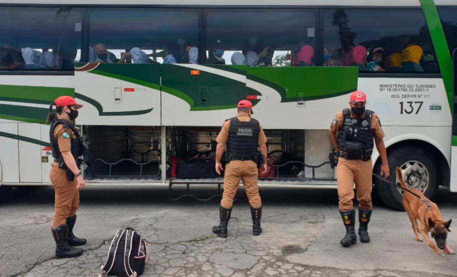 Apreensões de drogas no Paraná crescem no primeiro semestre