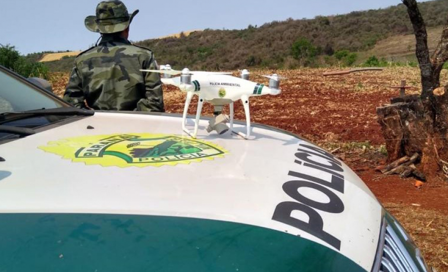 Operação Mata Atlântica em Pé aplicou R$ 15,6 milhões em multas por desmatamento ilegal