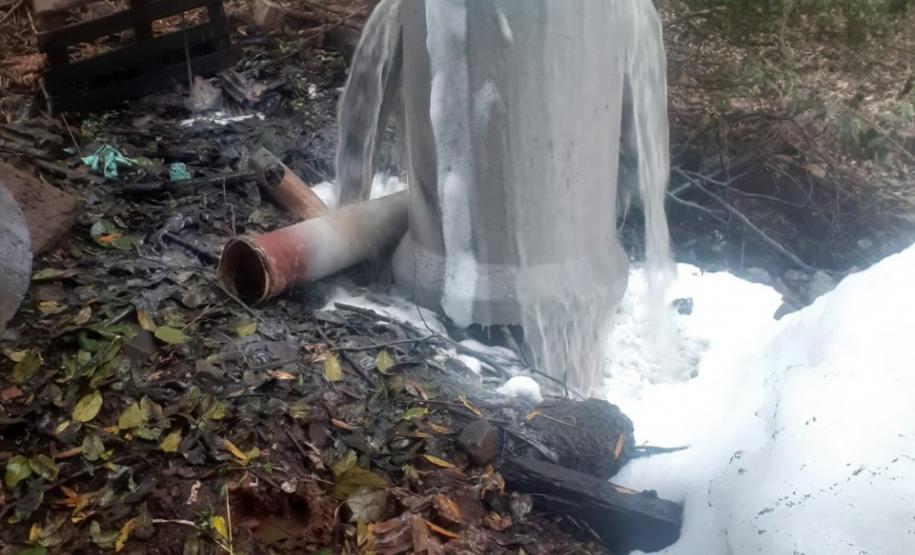 Oito pessoas são presas durante a operação Casca Grossa da Polícia Ambiental, no Norte do estado