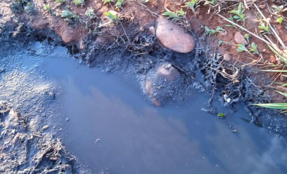 Oito pessoas são presas durante a operação Casca Grossa da Polícia Ambiental, no Norte do estado