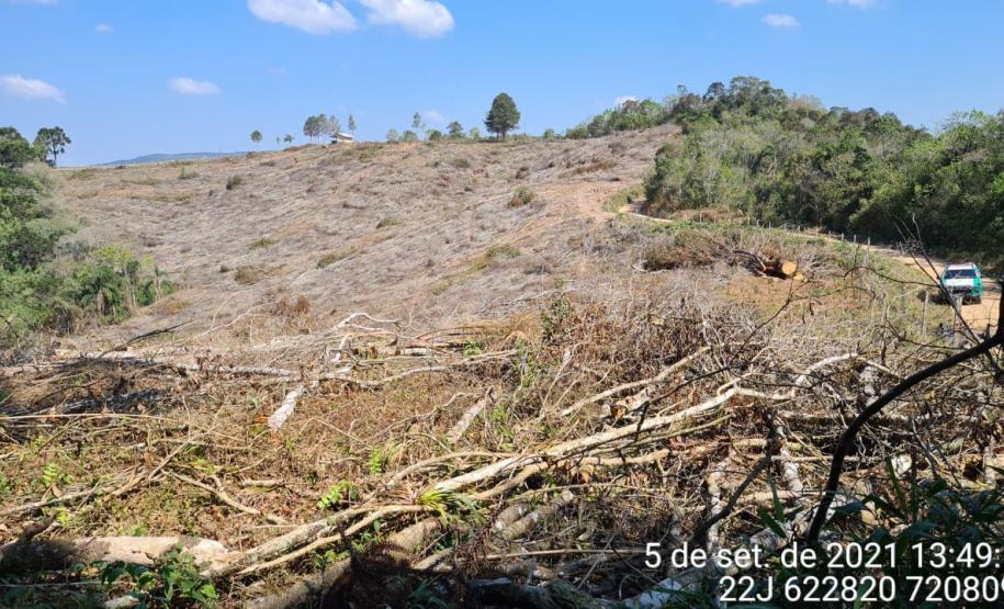 Polícia Ambiental atende ocorrência de desmatamento e encaminha homem por porte ilegal de arma de fogo em Campo Largo (PR)