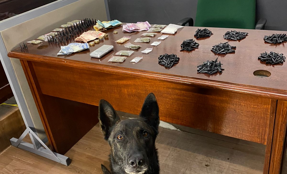 Na RMC, cães de faro do BPChoque indicam drogas e cinco suspeitos são presos