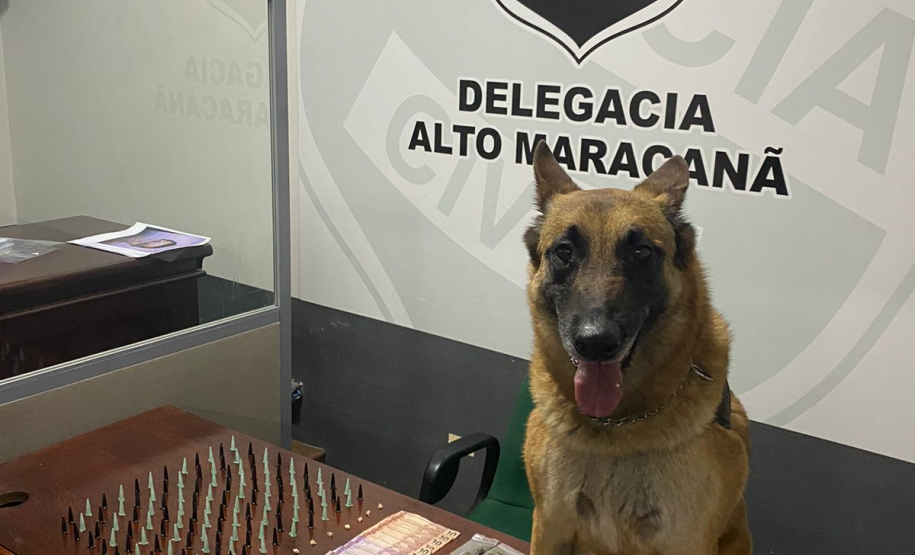 Na RMC, cães de faro do BPChoque indicam drogas e cinco suspeitos são presos