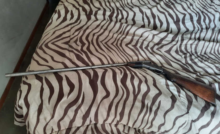 Armas para caça, animais abatidos e carvoaria ilegal são localizados pela Polícia Ambiental no Interior e na RMC