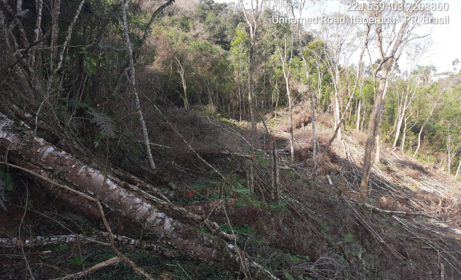 Armas para caça, animais abatidos e carvoaria ilegal são localizados pela Polícia Ambiental no Interior e na RMC