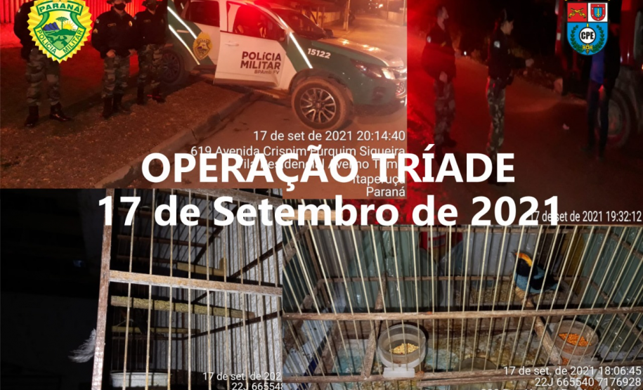 Operação Tríade reforça presença da Polícia Militar na Capital e RMC e 17 pessoas são presas