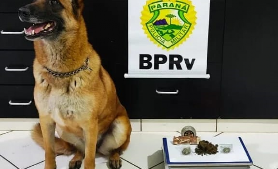 BPRv apreende celulares contrabandeados, drogas e recupera um caminhão no Noroeste do estado