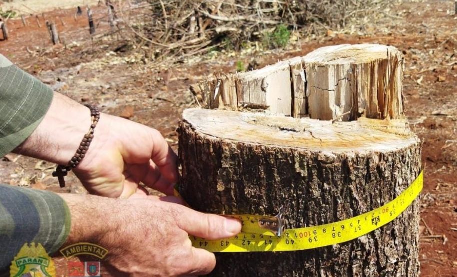 Polícia Ambiental flagra desmatamento e proprietário é preso após tentativa de homicídio contra equipe em Peabiru (PR)
