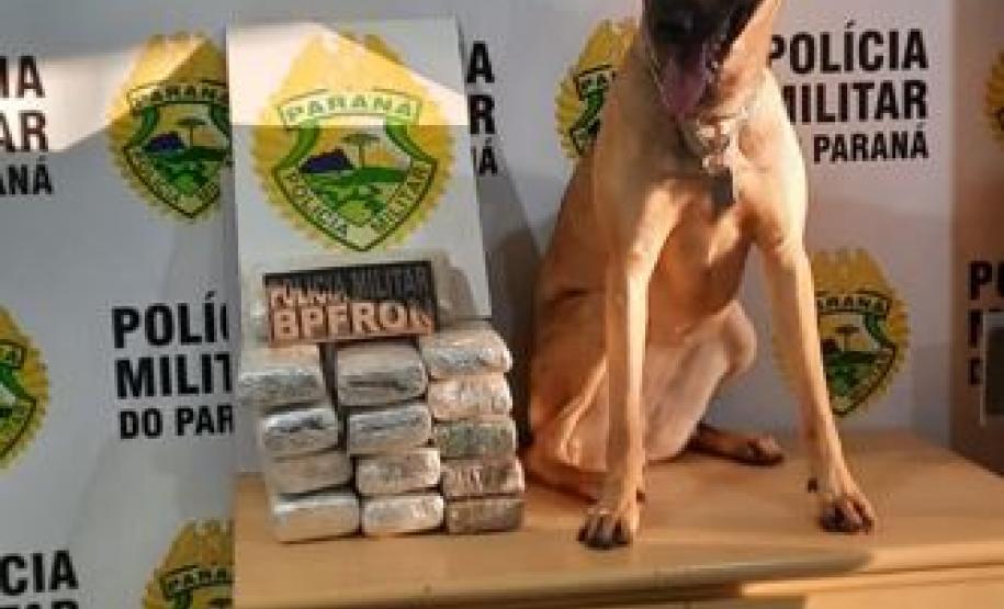 Operação Hórus: Durante final de semana, Polícia de Fronteira apreende quase 60 quilos de maconha e encaminha duas pessoas, no Oeste do estado