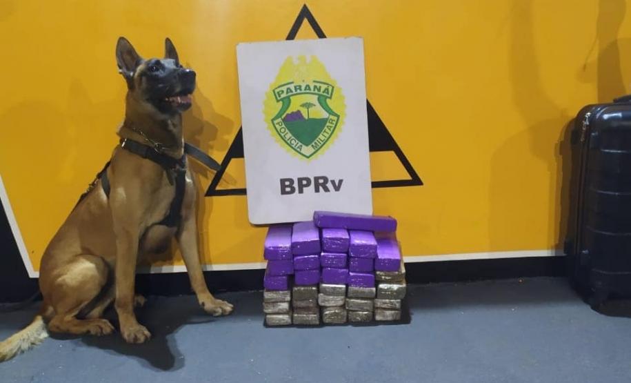 BPRv apreende mais de 20 quilos de maconha e recupera um carro furtado durante fiscalizações no interior do Paraná