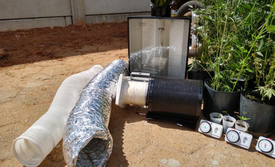 PM apreende 64 pés de maconha após denúncia anônima em Guarapuava (PR)