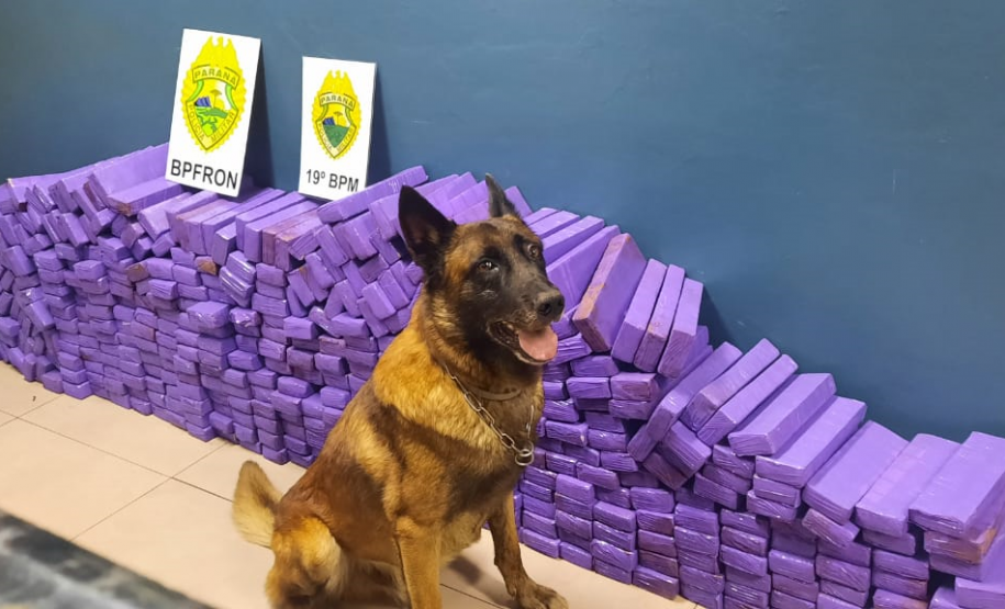 BPFron apreende carro carregado com mais de 300 quilos de maconha em Toledo (PR)
