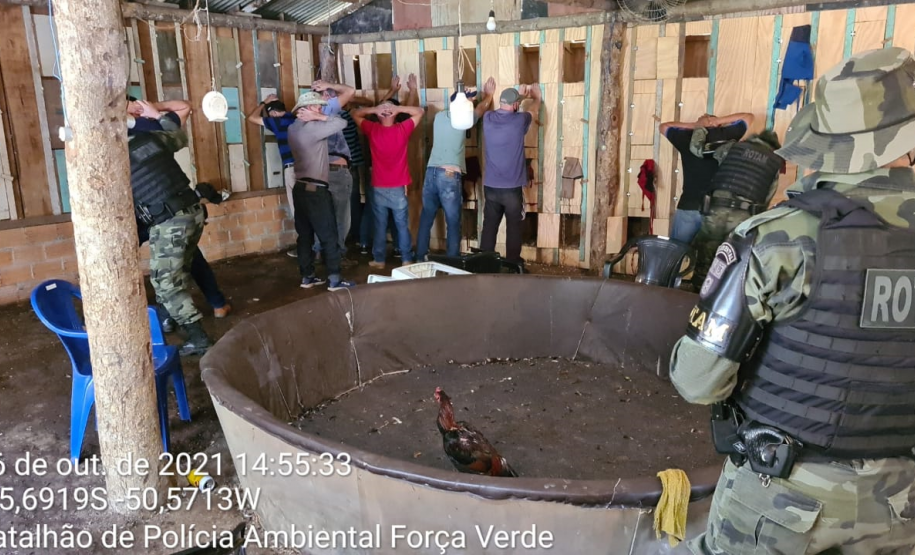 Polícia Ambiental aplica mais de R$ 1 milhão em Autos de infração ambiental contra suspeitos de desmatamento e rinha de galo, em ocorrências distintas