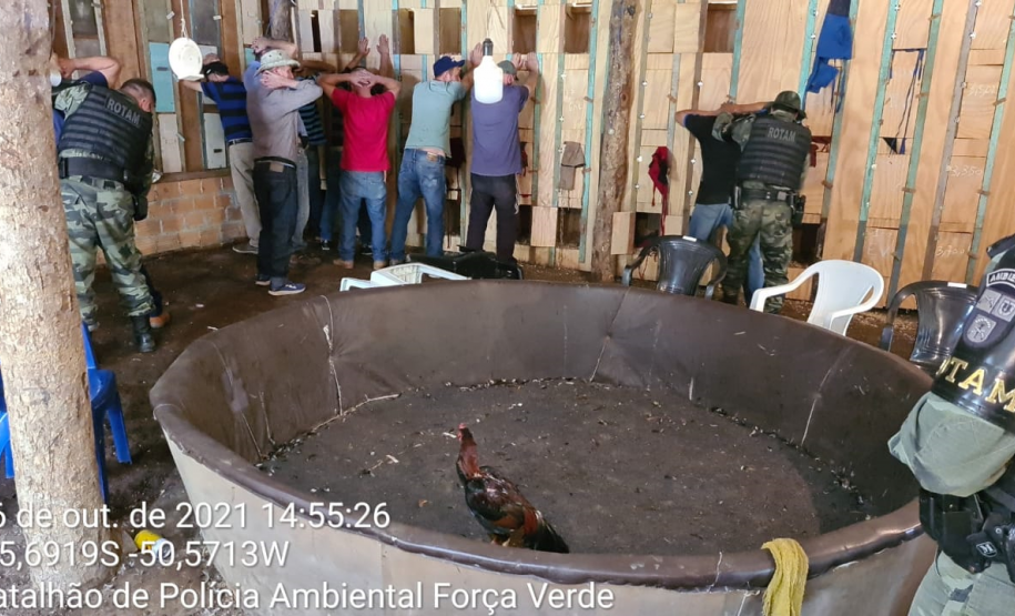 Polícia Ambiental aplica mais de R$ 1 milhão em Autos de infração ambiental contra suspeitos de desmatamento e rinha de galo, em ocorrências distintas