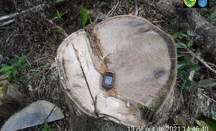 Polícia Ambiental aplica mais de R$ 1 milhão em Autos de infração ambiental contra suspeitos de desmatamento e rinha de galo, em ocorrências distintas