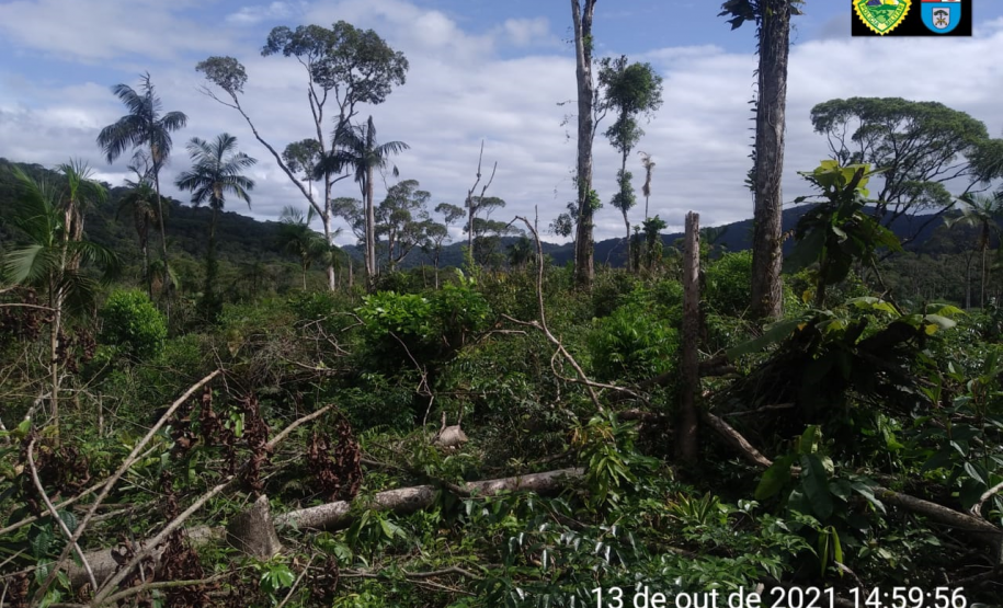 Polícia Ambiental aplica mais de R$ 1 milhão em Autos de infração ambiental contra suspeitos de desmatamento e rinha de galo, em ocorrências distintas