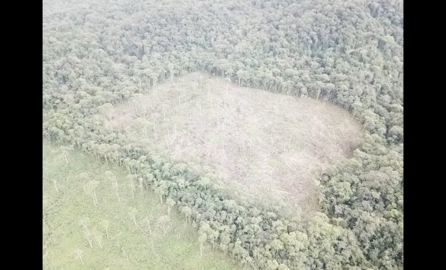 Polícia Ambiental aplica mais de R$ 1 milhão em Autos de infração ambiental contra suspeitos de desmatamento e rinha de galo, em ocorrências distintas